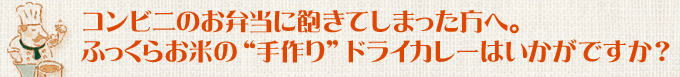 コンビニのお弁当に飽きてしまった方へ。ふっくらお米の“手作り”ドライカレーはいかがですか?